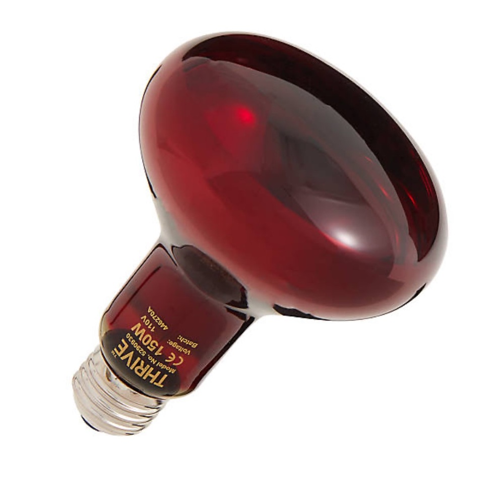 50, 75, 100, and 150 watt nocturnal bulb